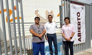 Más de 60 perros en adopción y recuperación: Jesús Nava aclara información falsa