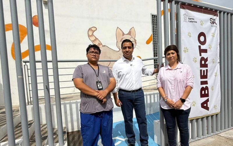 Más de 60 perros en adopción y recuperación: Jesús Nava aclara información falsa